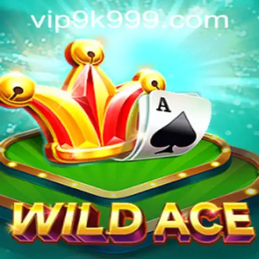 A Thrilling Journey with WildAce: Your Ultimate Guide